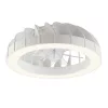 Mennyezeti Ventilátoros Lámpa 30W Állítható Színhőmérséklet, Távirányító, 54 cm