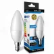 Zelux Led Candle Bulb C37 6W E14 4000K